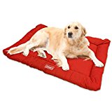 dog bed for camping